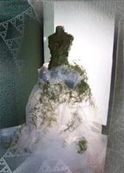 Floristeria Paniculata, Elda