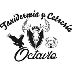 TAXIDERMIA OCTAVIO, Poblete
