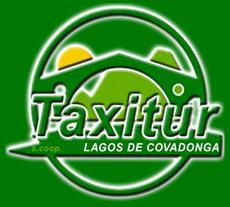 Taxitur Radio Taxi Cangas de Onís