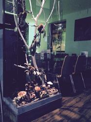 Bar Noria Tapas, Aracena