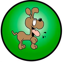 Mundo Animal, Boiro