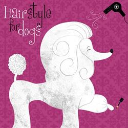 Dog Beauty, Santa Cruz de Tenerife