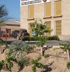 Bodega Chorro, Agost