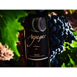 Bodegas Ayagar, Hormilleja