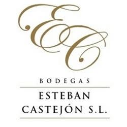 Esteban Castejon S.l., Ibdes