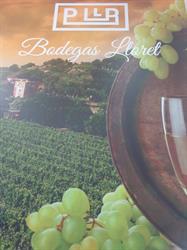 Bodega Lloret Los Alcázares