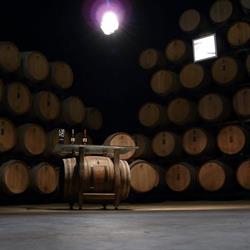 Bodegas Edra, Ayerbe