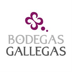 Bodegas Gallegas, Ourense