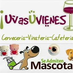 U Vas U Vienes, Gijón