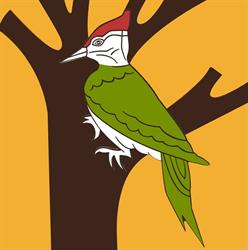 Carpintería Fusta, Teulada