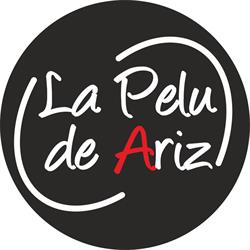 la Pelu de Ariz, Basauri