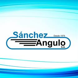 Luis Sanchez Angulo, Coslada