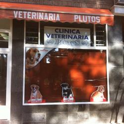 Plutos, Madrid