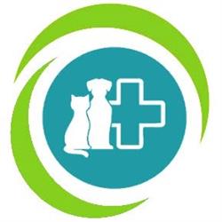 Clínica Veterinaria Santa Mª de Guía, Guia