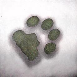 Centro Veterinario Doctor Esquerdo S.l., Madrid