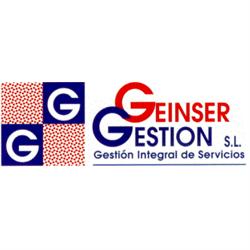 GEINSER GESTION, Manises
