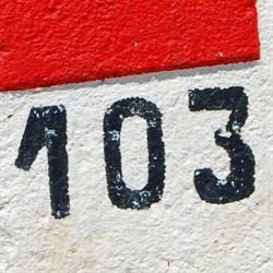 Area 103 Restaurante, Almadrones