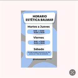 Instituto Balmar, Burriana
