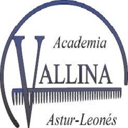 Academia de Peluquería y Estética Vallina, Sama de Langreo