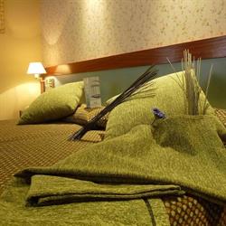 Hotel Jardín de Aranjuez