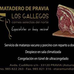 Matadero de Pravia