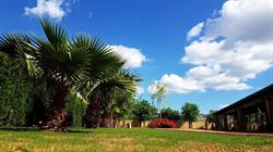 Venta la Vereda Salones, Carmona