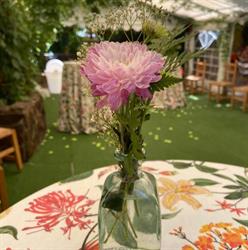 Restaurante Casa Miro, Titulcia