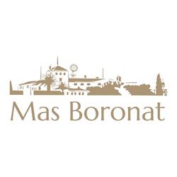 Mas Boronat, Salomó