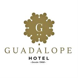 Hotel Guadalope, Alcañiz