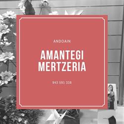 Amantegui Mertzeria, Andoain