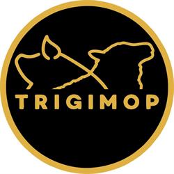 Trigimop, Girona