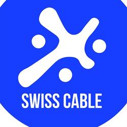 Swiss Service and Cable T.v. S.l., Jávea