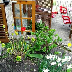 Hotel BADAIN, Lafortunada