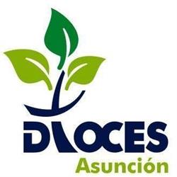 Colegio Diocesano de La Asuncion de Nuestra Señora, Ávila