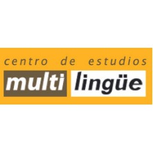 Academia Multilingüe, Laredo