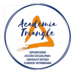 Acadèmia Triangle, Mataró