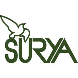 Centro Surya Actividades para el Bienestar, Pamplona