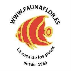 Fauna Flor, Elche