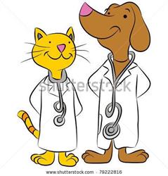 Clinica Veterinaria Robles, Madrid