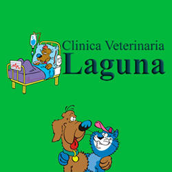 Clínica Veterinaria Laguna, Villabalsa