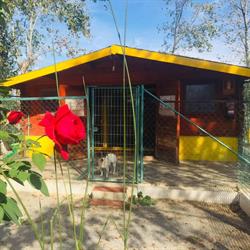 Las Chiveas, Otura