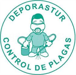 DEPORASTUR, Gijón
