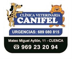 Clínica Veterinaria Canifel, Cuenca