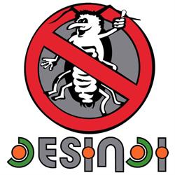 Desindi C.b., Dénia