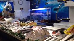 Pescaderia Nelida, Lugo