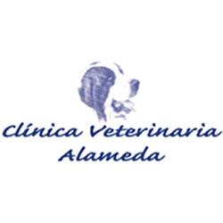 Clinica Veterinaria Alameda, Coslada