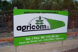 Agricom S.l., Cullera