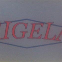Frigelar S. L., Elche