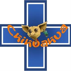 Clinica Veterinaria Chihuahua, Madrid