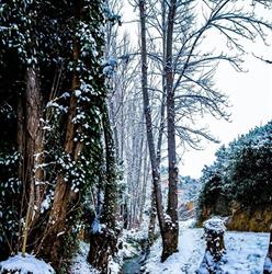 Pensión Cuevas de Cañart, Dos Torres de Mercader
